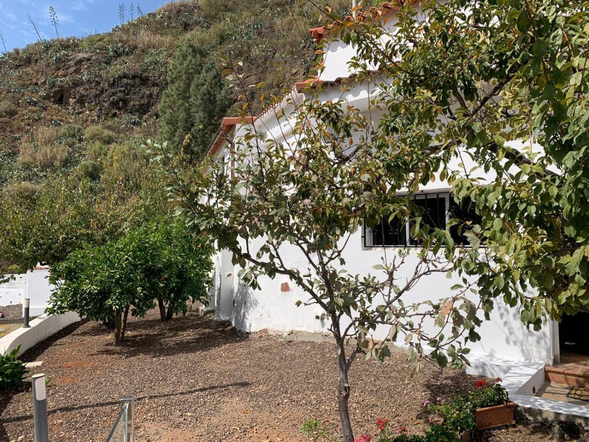 Casa Rural La Yedra San Mateo Arbejales Extérieur photo