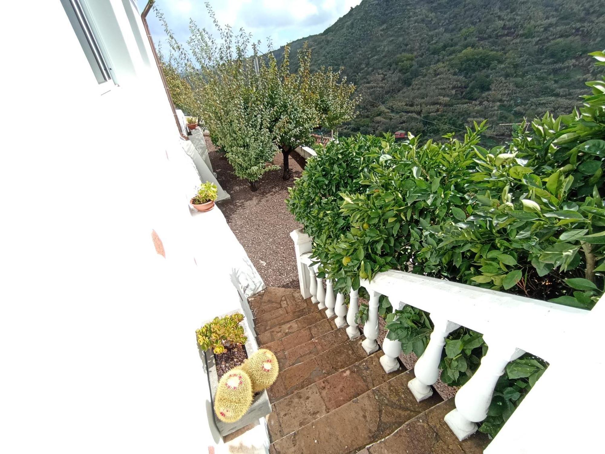 Casa Rural La Yedra San Mateo Arbejales Extérieur photo